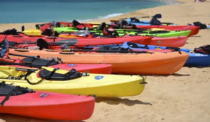 Kayaks de colores juntos unos a otros en la orilla de una playa